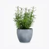 product-image-5_optimized Minim Veniam