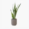 product-image-6_optimized Minim Veniam